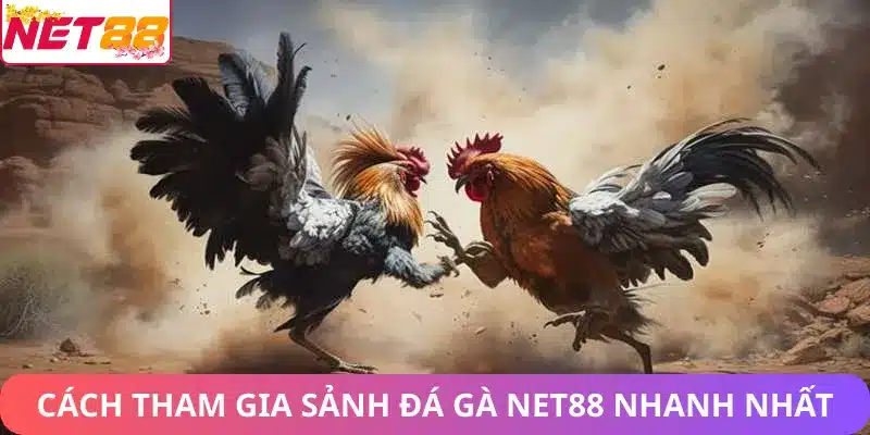 Hướng dẫn tham gia sảnh game đá gà Net88 nhanh chóng